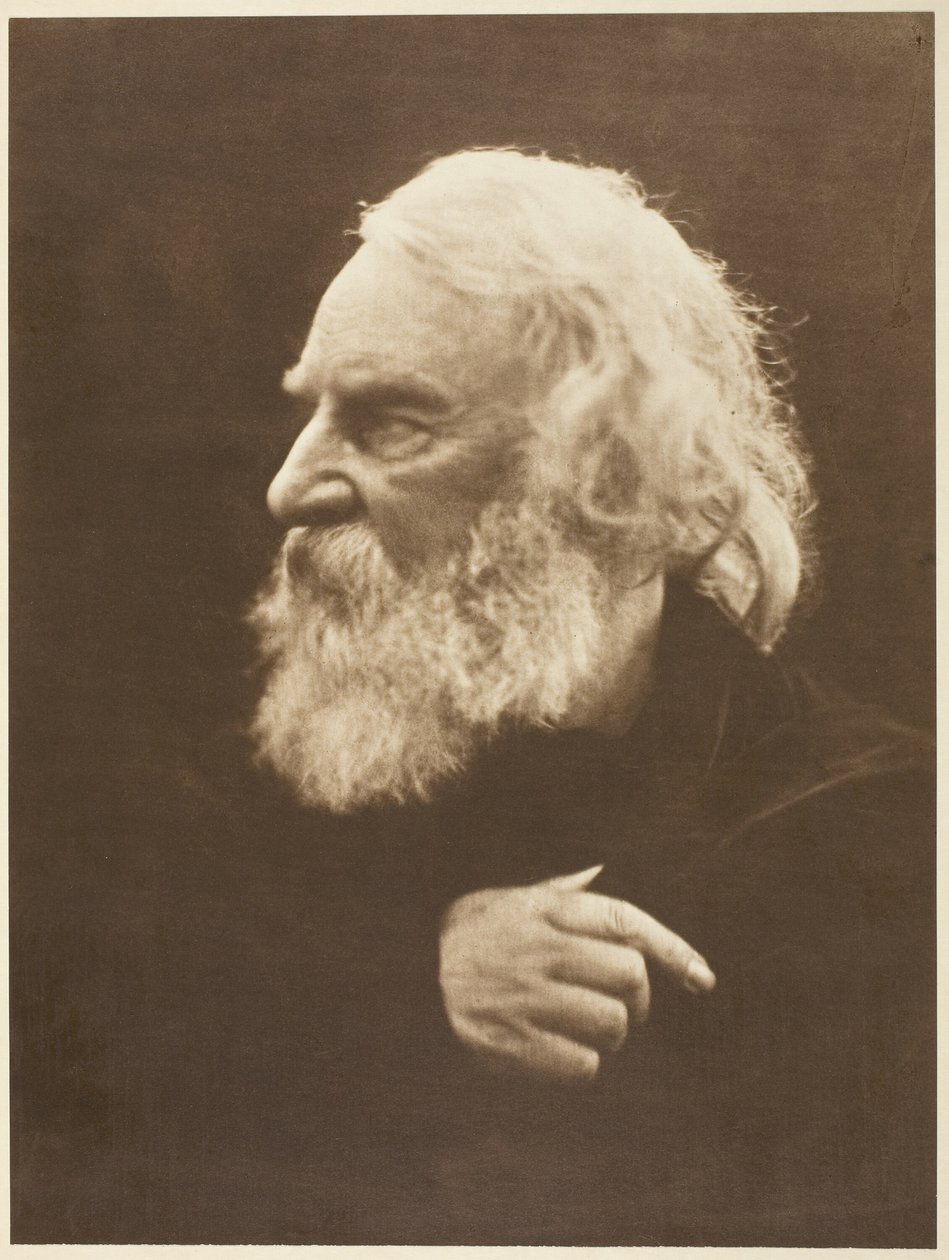 Henry Wadsworth Longfellow af Julia Margaret Cameron