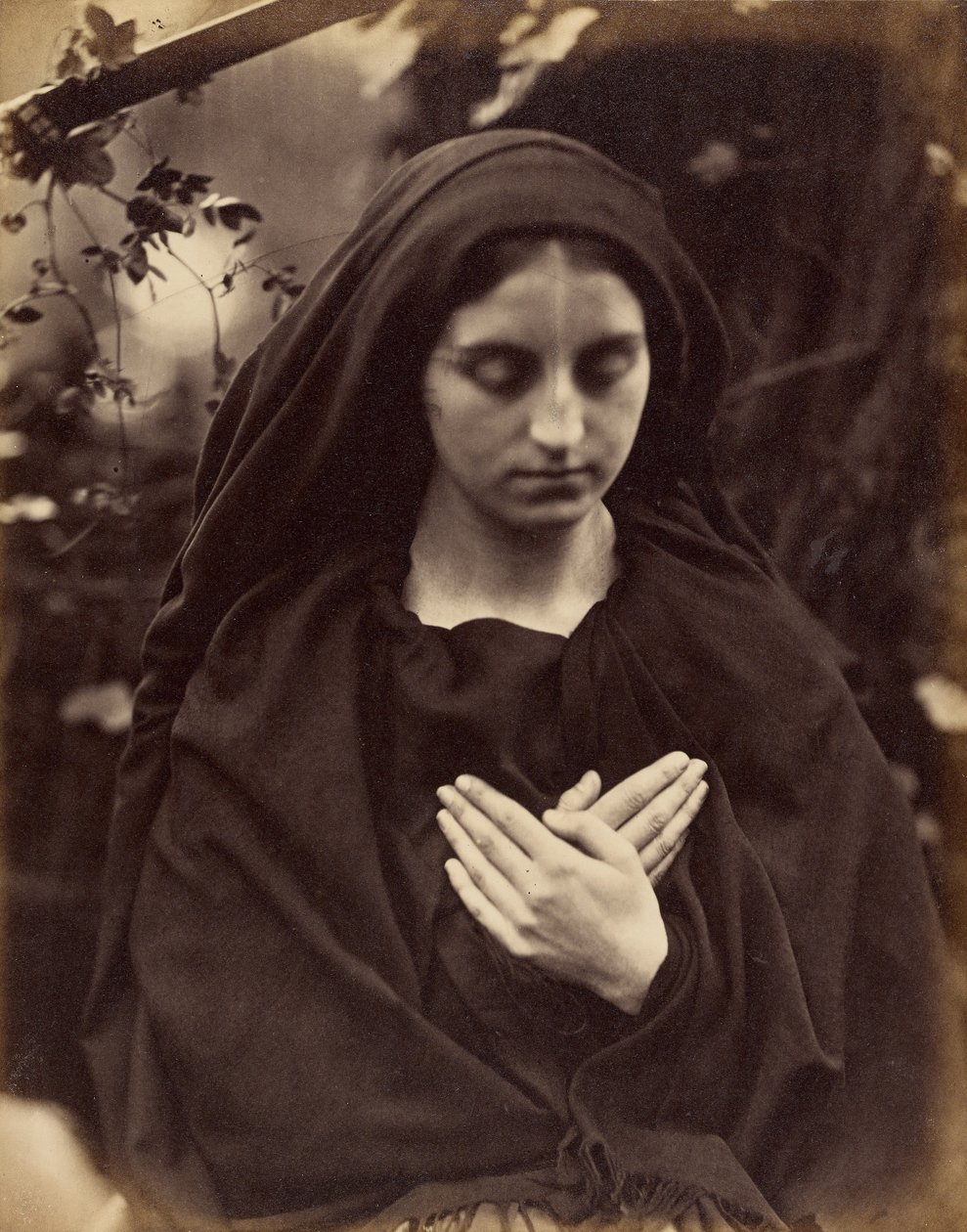 Il Penseroso af Julia Margaret Cameron
