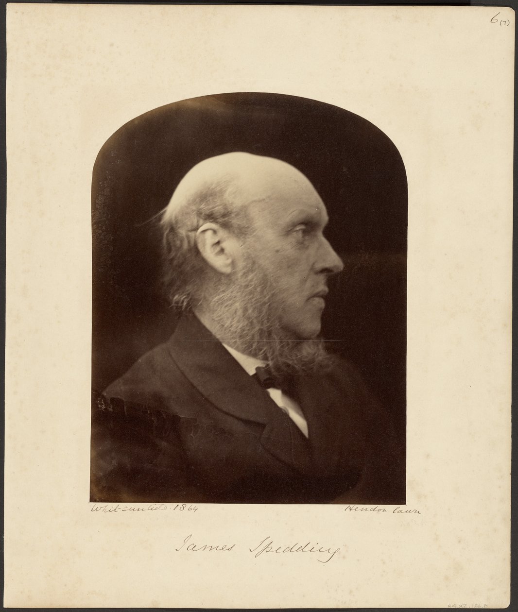 James Spedding af Julia Margaret Cameron
