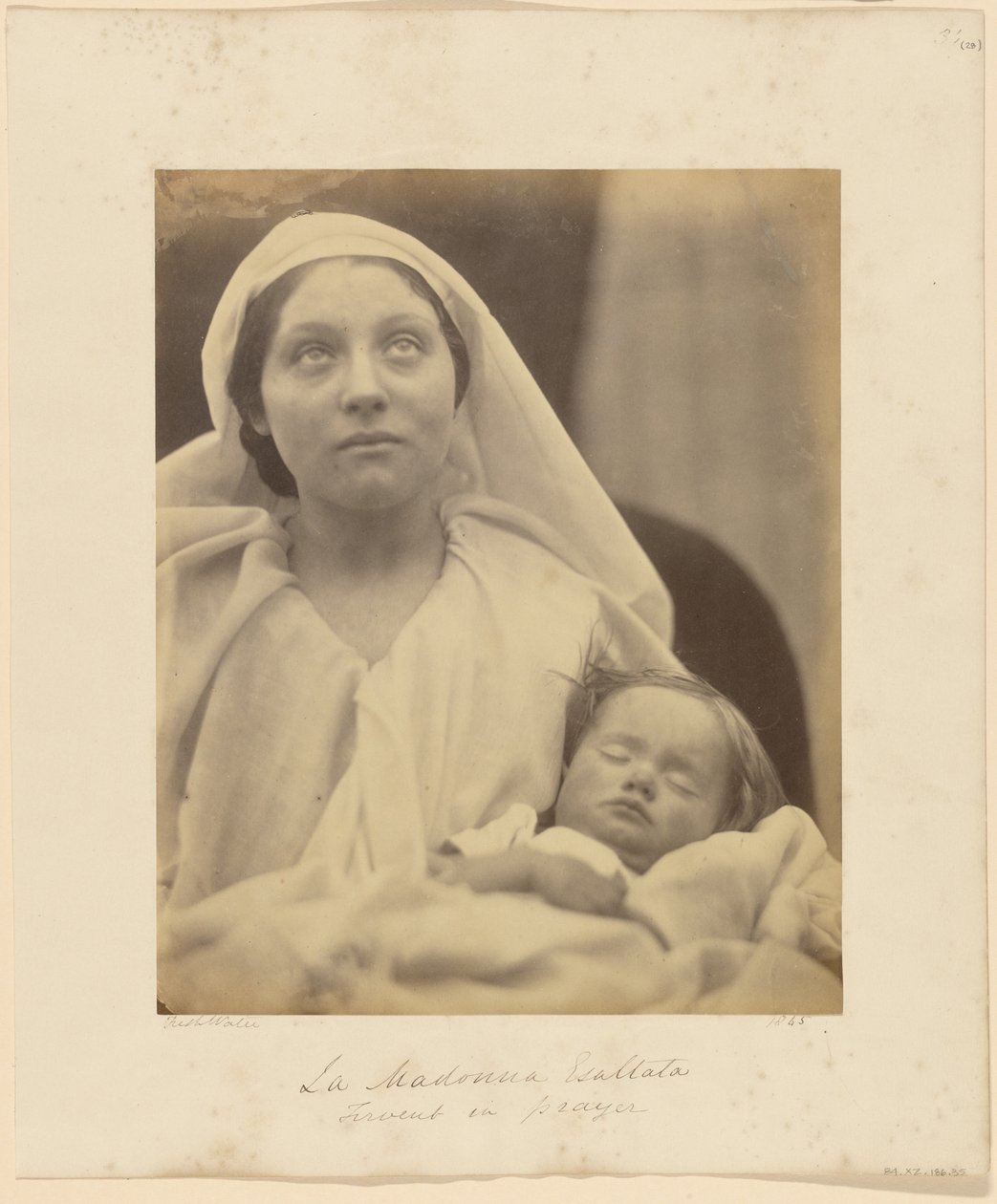 Den ophøjede Madonna af Julia Margaret Cameron