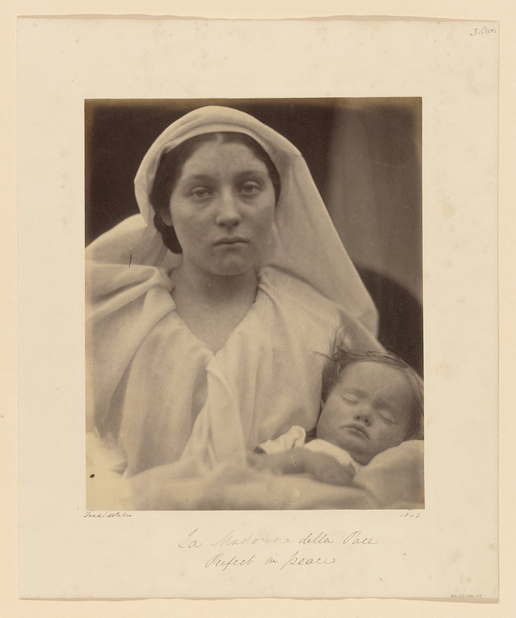 Vor Frue af Fred af Julia Margaret Cameron