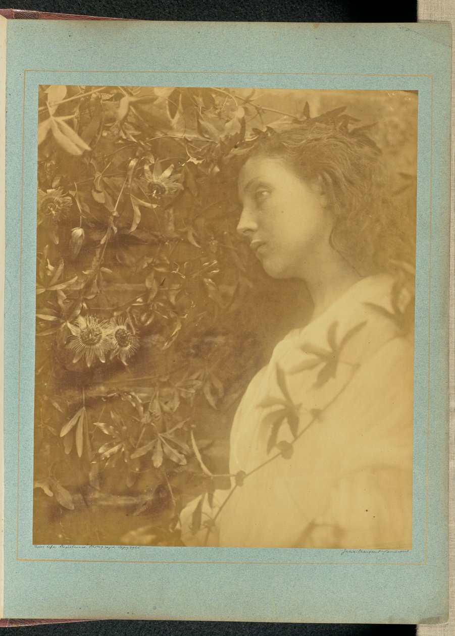 Maud »Der er faldet en pragtfuld tåre« / »Fra passionsblomsten ved porten.« af Julia Margaret Cameron