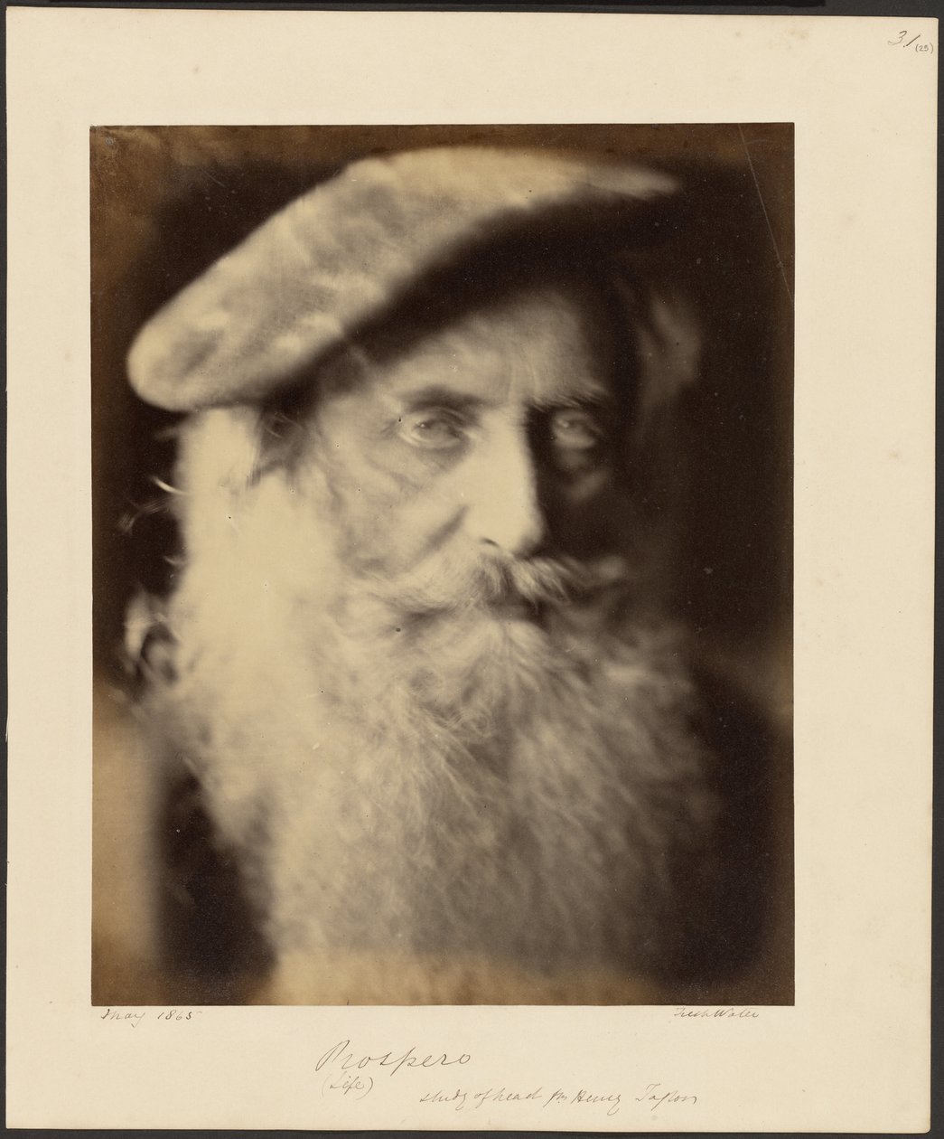 Velstand af Julia Margaret Cameron