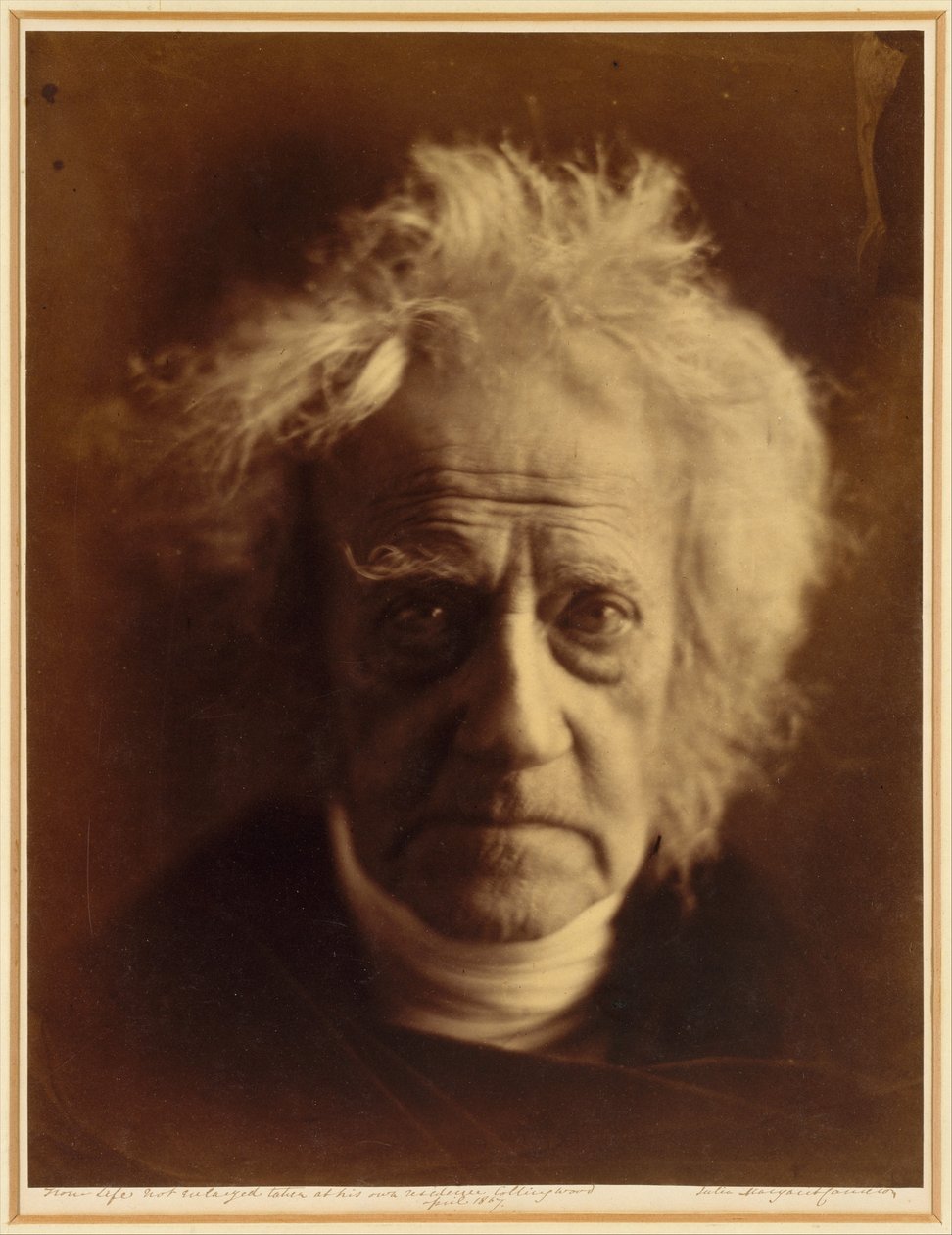 Sir John Herschel af Julia Margaret Cameron