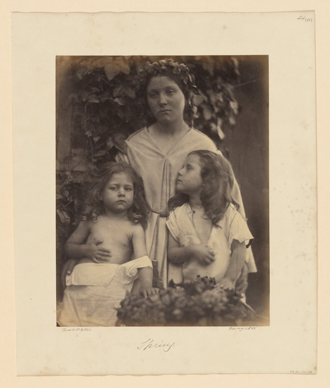 Forår af Julia Margaret Cameron