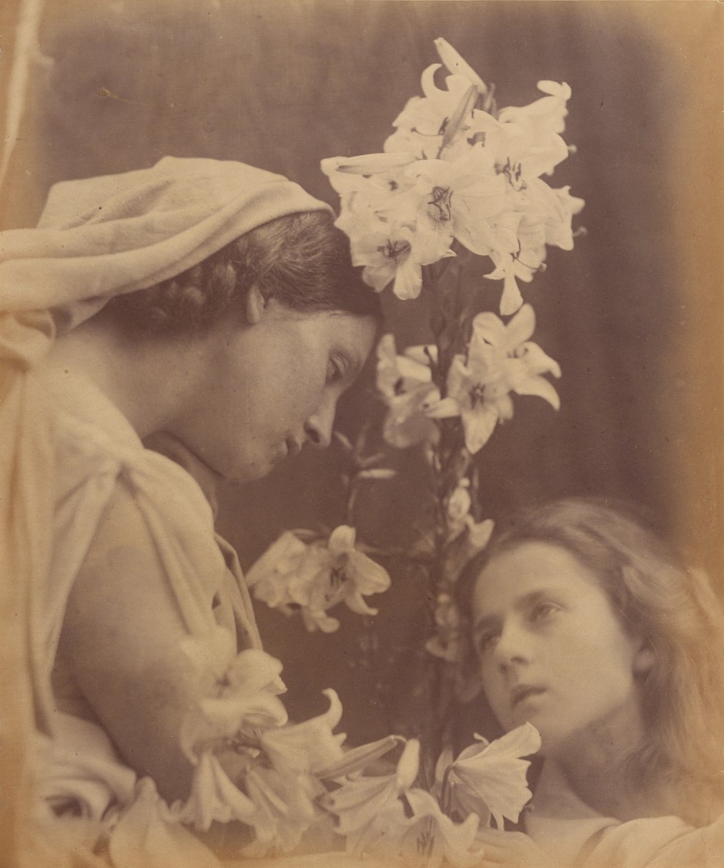 Nattverden af Julia Margaret Cameron