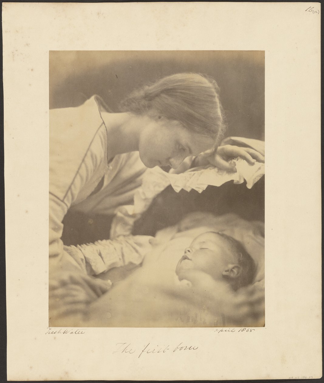 Den førstefødte af Julia Margaret Cameron