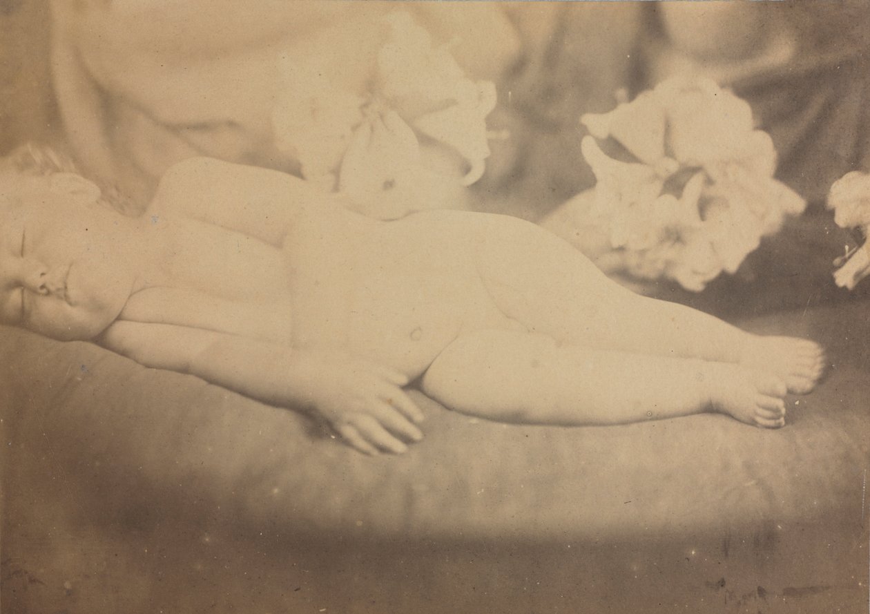 Liljen og Lammet, ca. 1865. af Julia Margaret Cameron