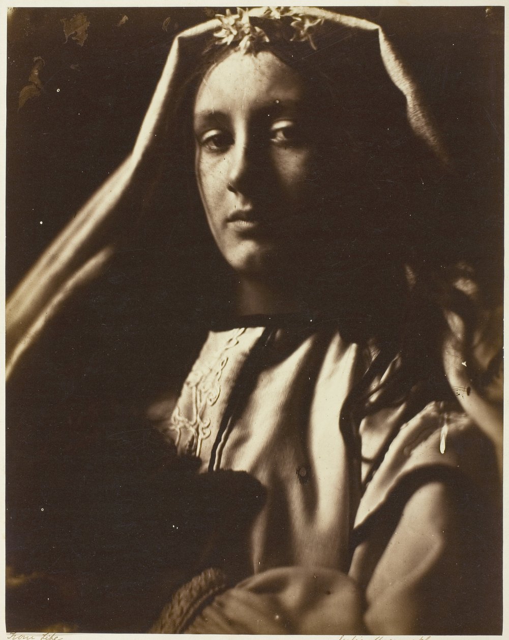 Neopolitten af Julia Margaret Cameron