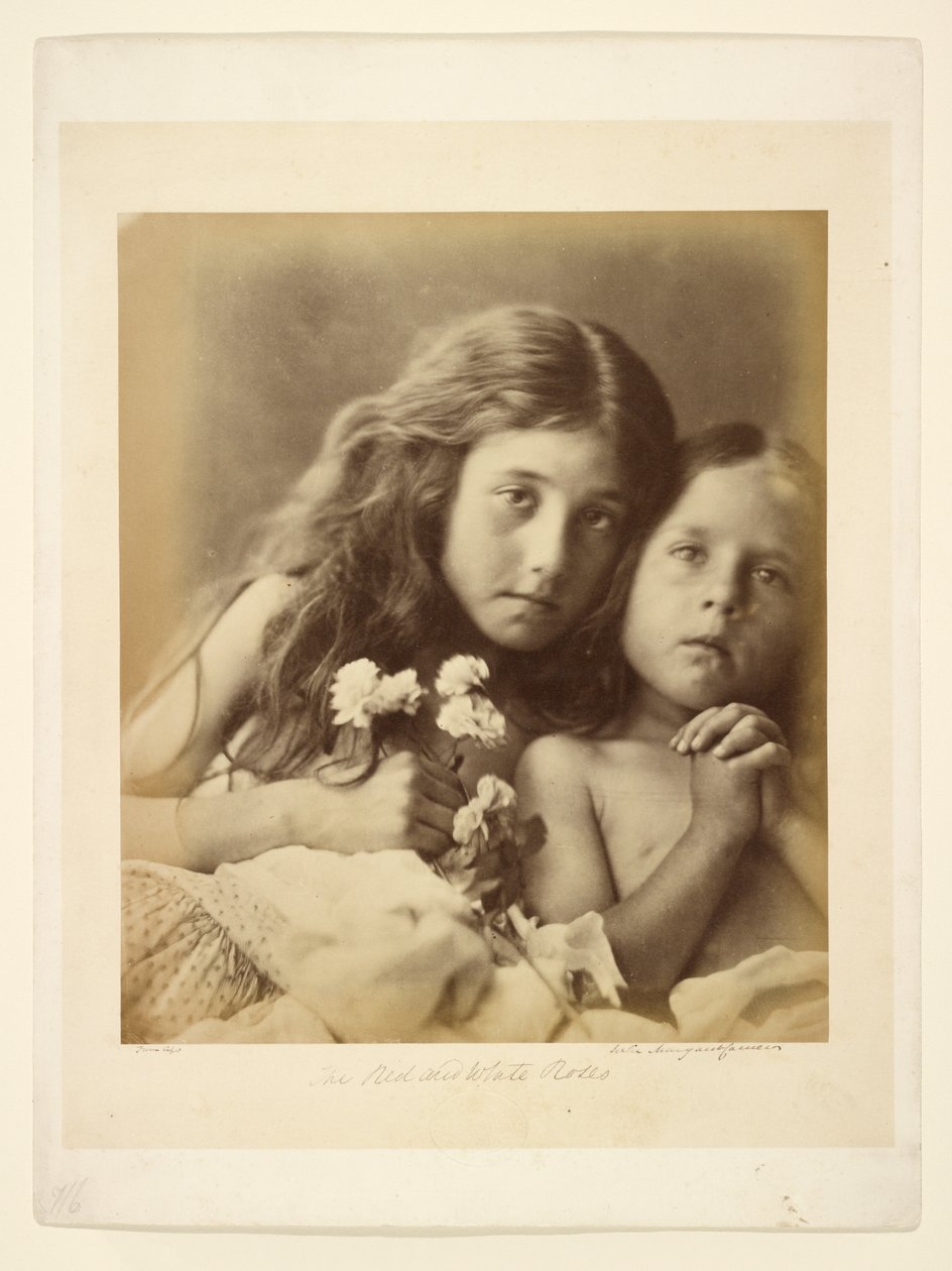 De røde og hvide roser af Julia Margaret Cameron