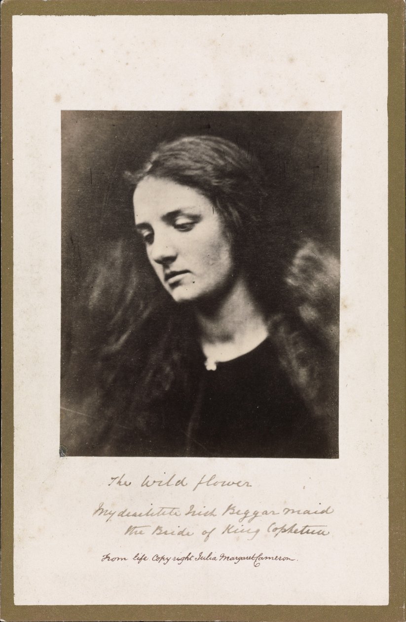Den vilde blomst af Julia Margaret Cameron