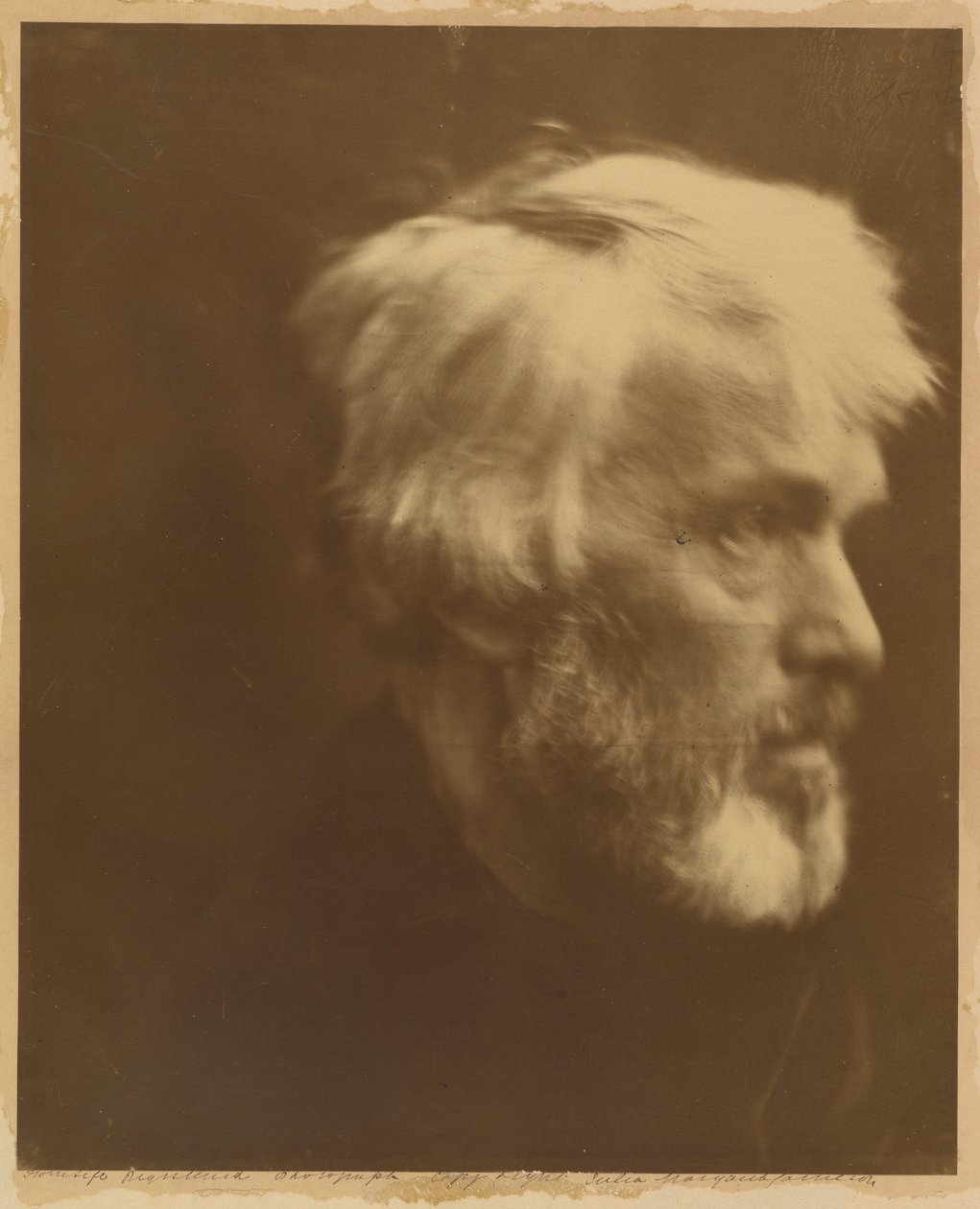 Thomas Carlyle af Julia Margaret Cameron