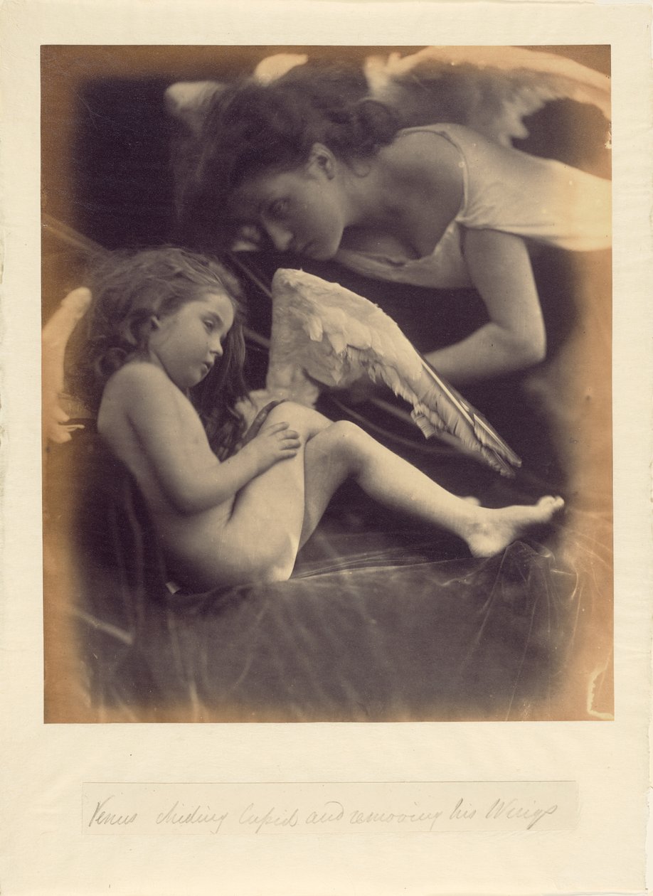 Venus skælder ud på Amor og fjerner hans vinger af Julia Margaret Cameron