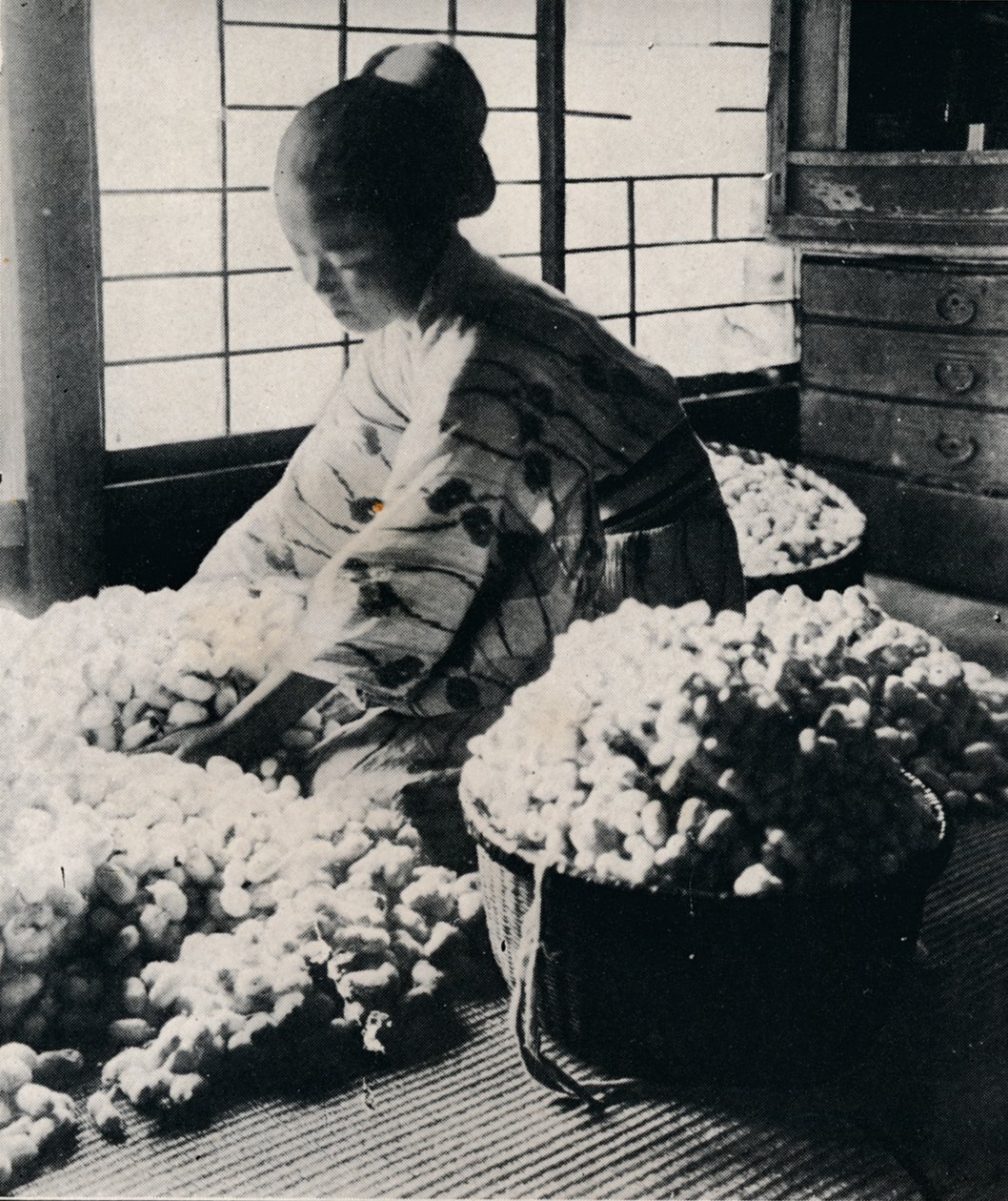 5000 silkeorme spiser 125 lbs morbær for 8 nøster silke, hvilket gør en kimono, c1900, 1921 af Julian Leonard Street