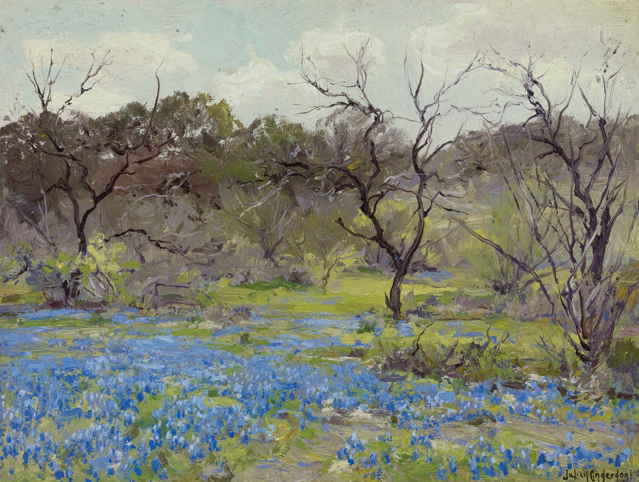 Tidligt forår - Bluebonnets og Mesquite af Julian Onderdonk