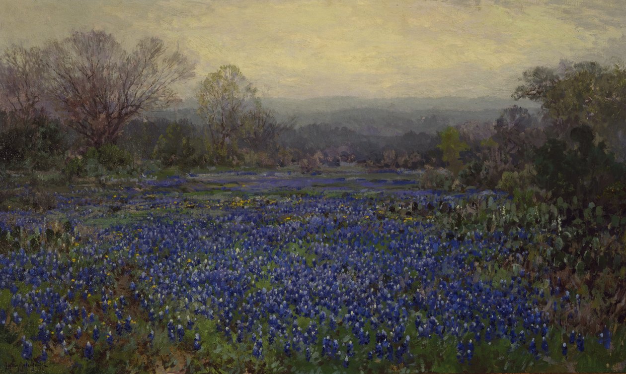 Uden titel - Field of Bluebonnets (olie på lærred) af Julian Onderdonk