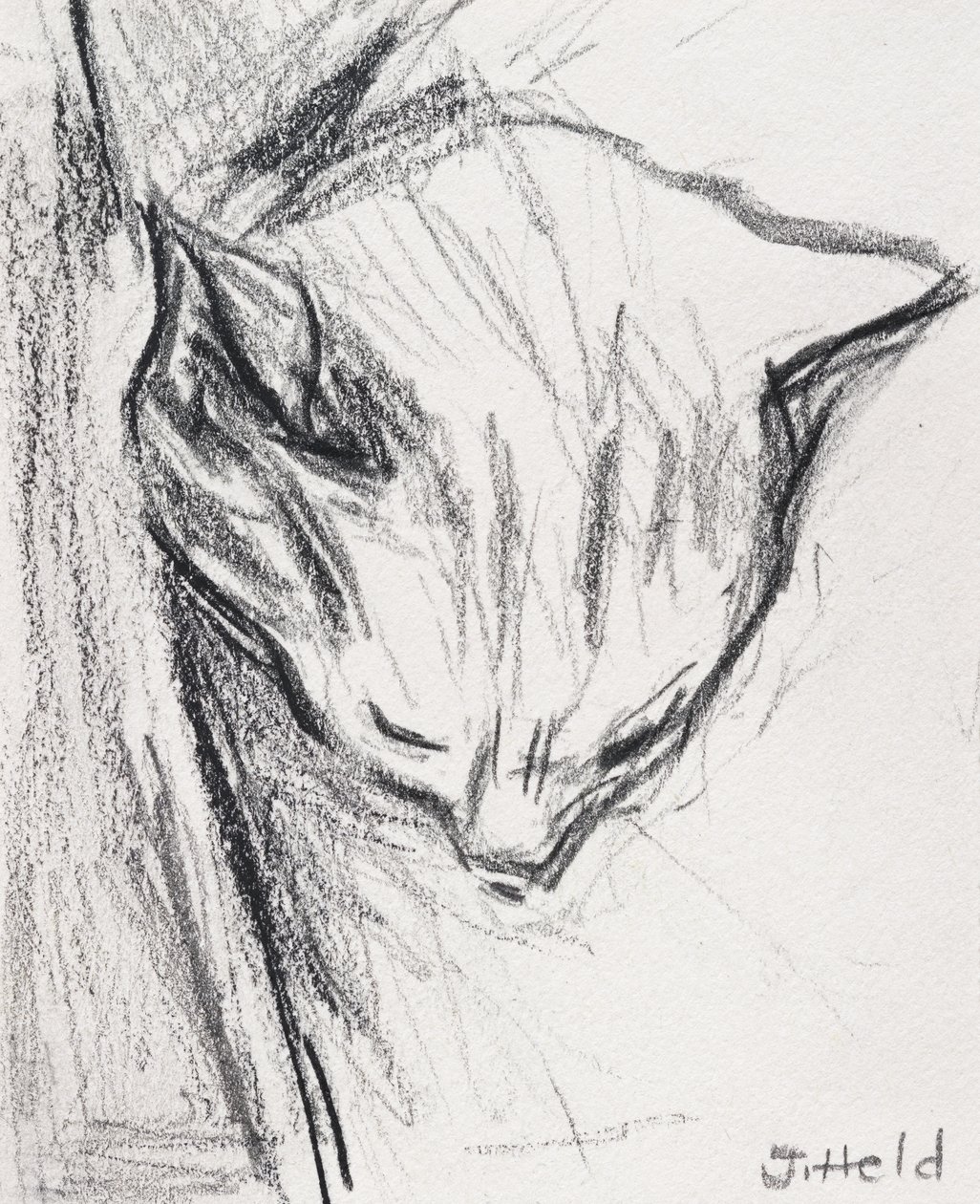 Sovende kat, 2015, (blyant) af Julie Held