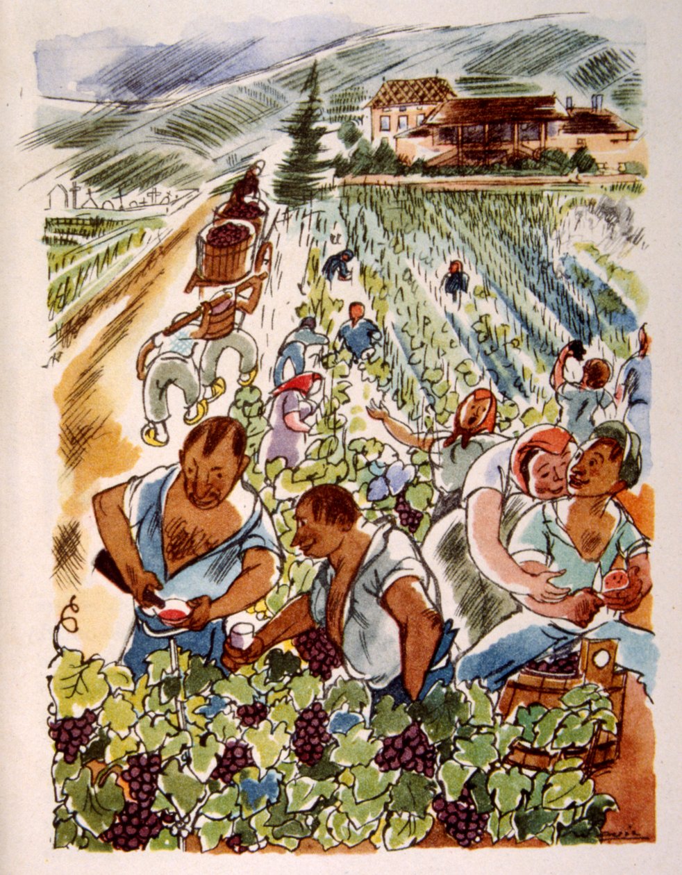 fransk vingård. 1944. Illustration af Julien Pavil af Julien Pavil