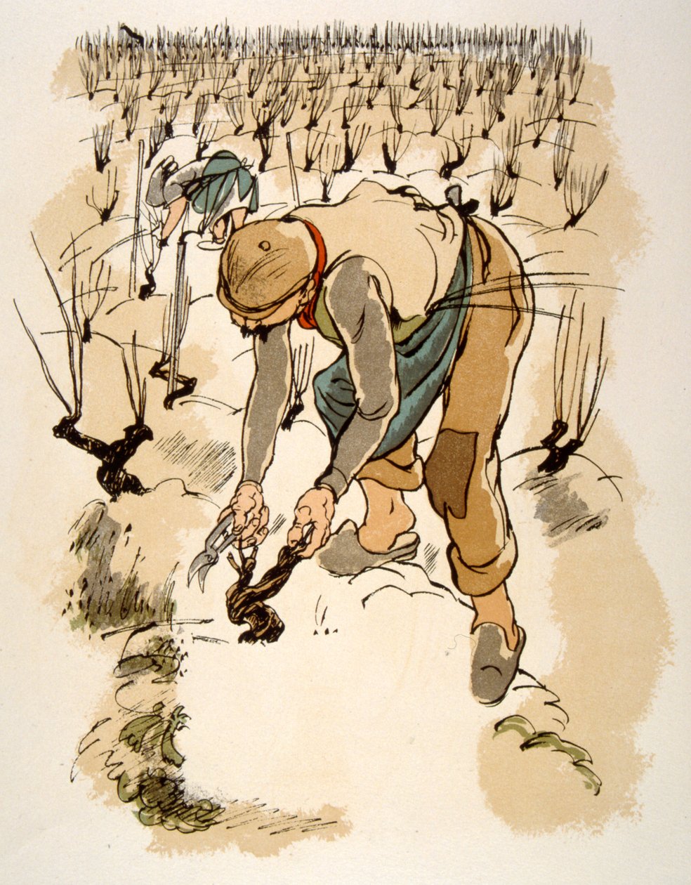 Humoristisk vinillustration 1946.Illustration af Julien Pavil af Julien Pavil