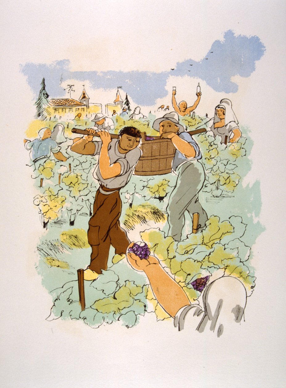 Humoristisk vinillustration 1946.Illustration af Julien Pavil af Julien Pavil