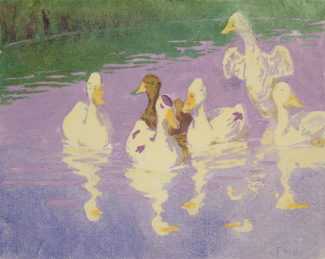 Ænder, 1896 af Julius August Friedrich Theodor von Ehren