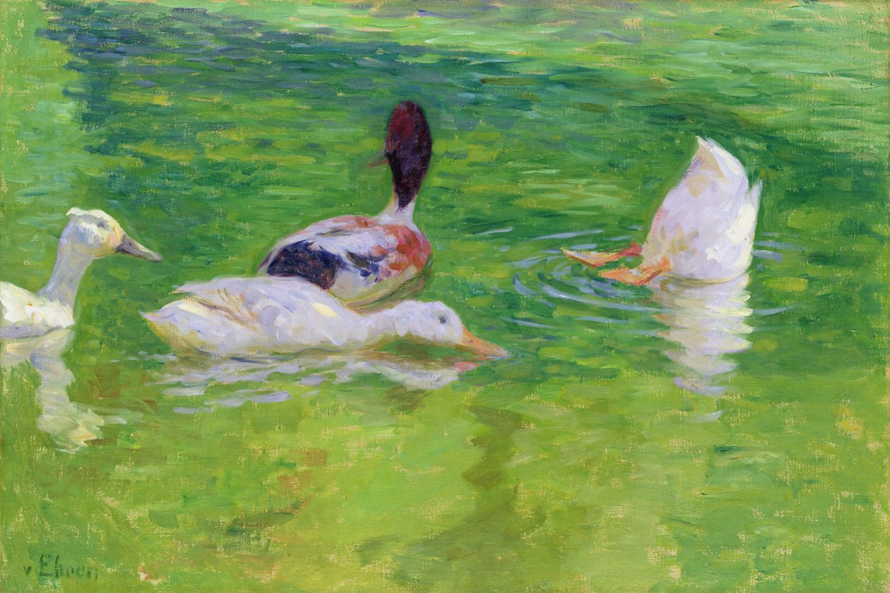 Ænder, ca. 1897 af Julius August Friedrich Theodor von Ehren