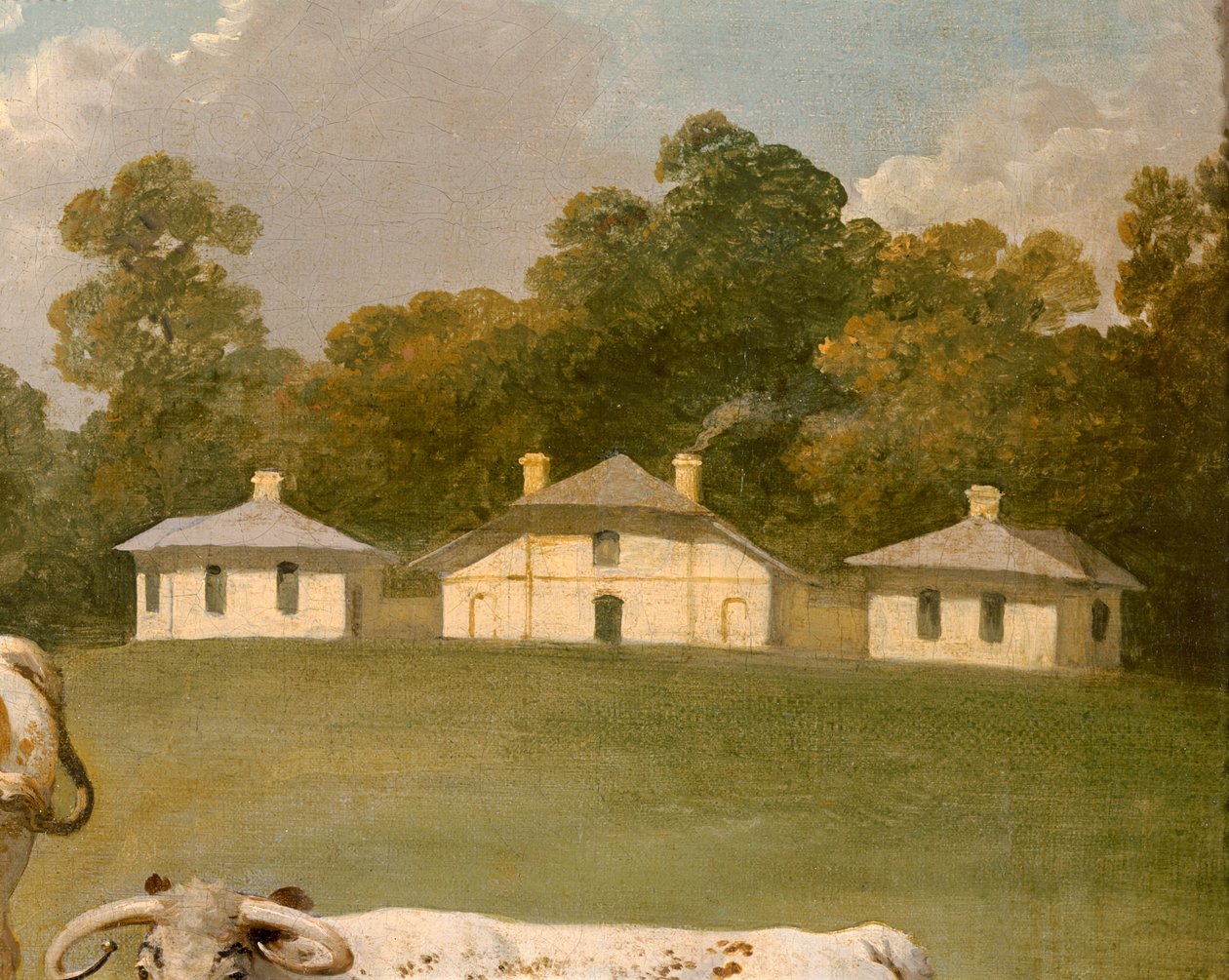 Tre langhornede kvæg i landskab (olie på lærred) (detalje af 369486) af Julius Caesar Ibbetson
