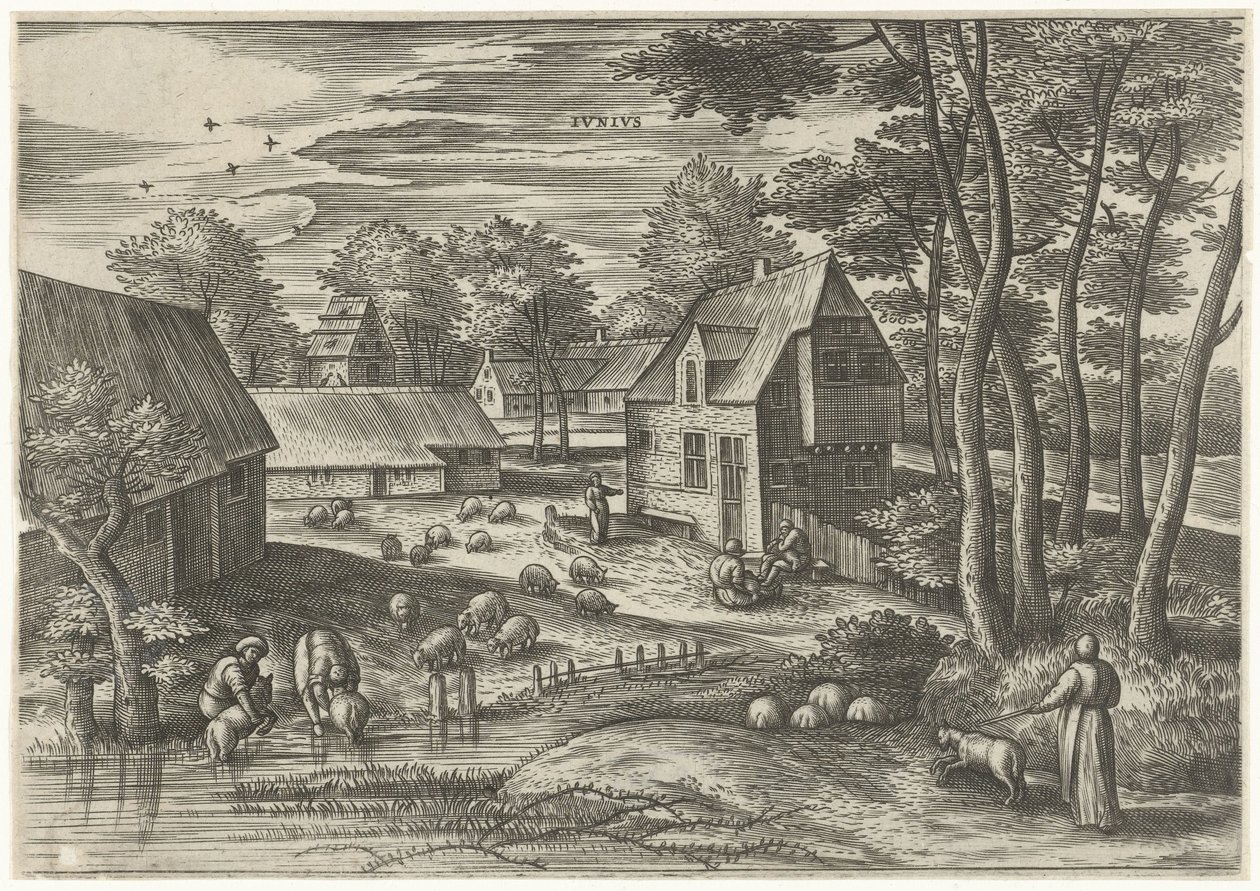 juni Ivnivs (titel på objekt) De tolv måneder (serietitel) af Julius Goltzius