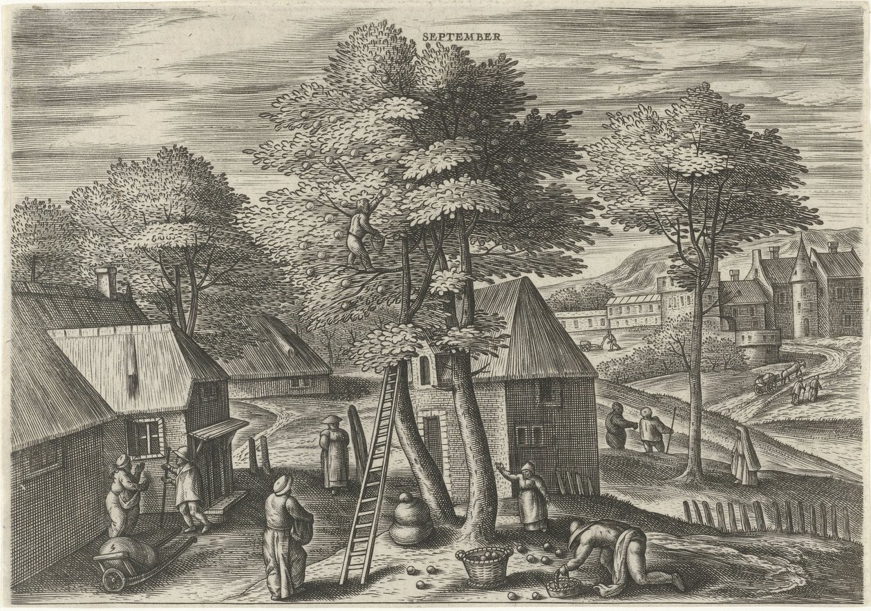 september (titel på objekt) De tolv måneder (serietitel) af Julius Goltzius