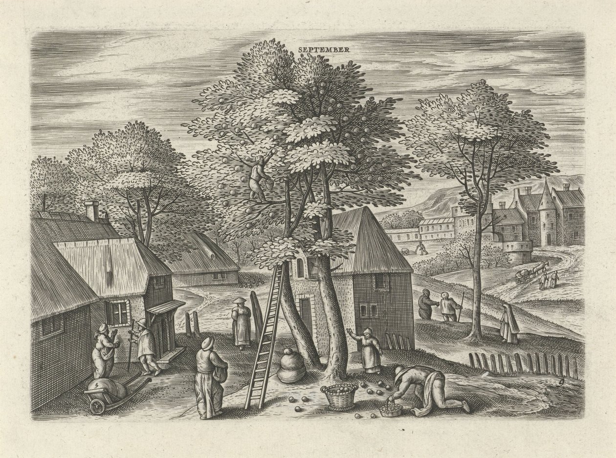 september (titel på objekt) De tolv måneder (serietitel) af Julius Goltzius