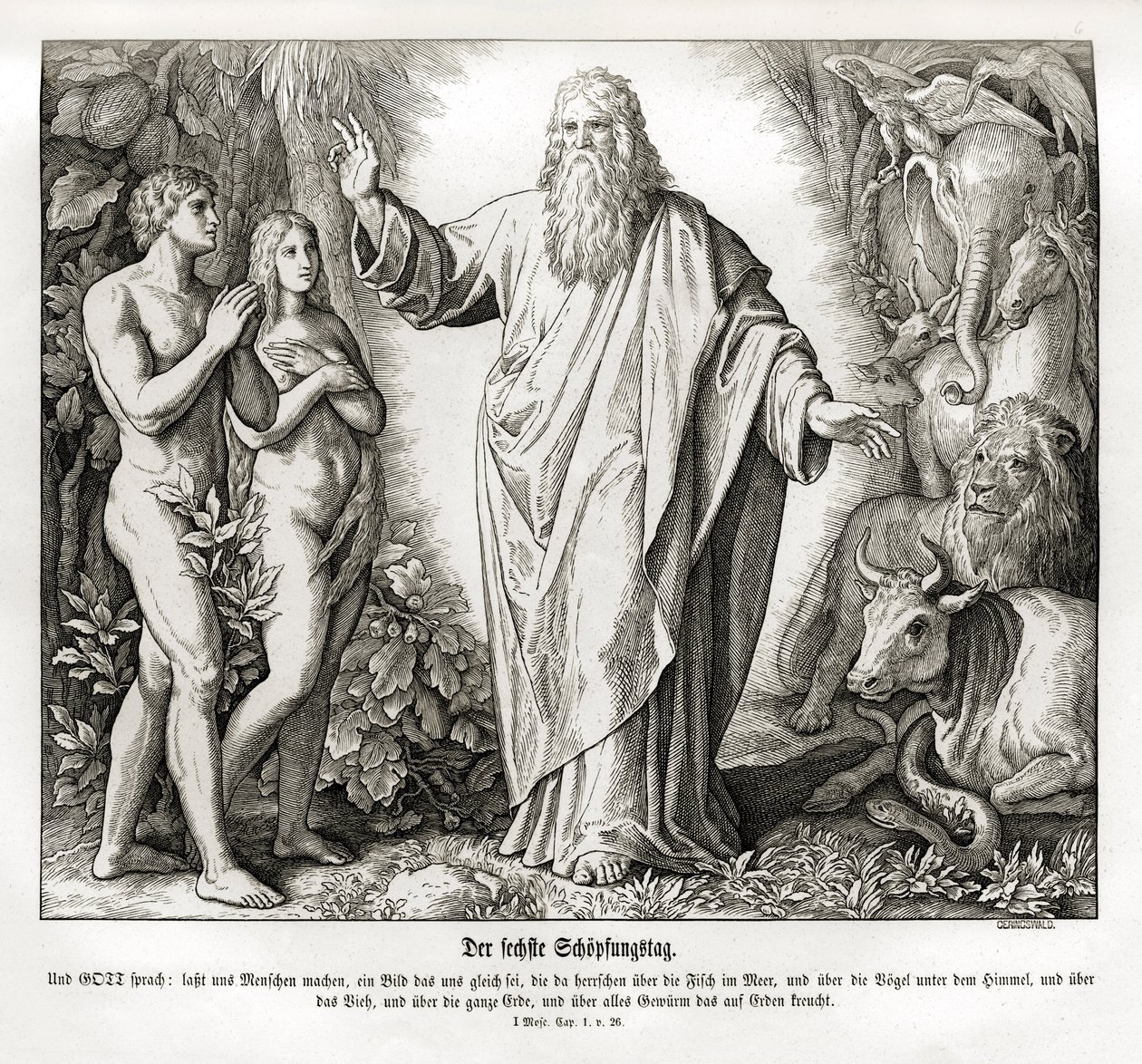Skabelsens sjette dag, 1. Mosebog af Julius Schnorr von Carolsfeld