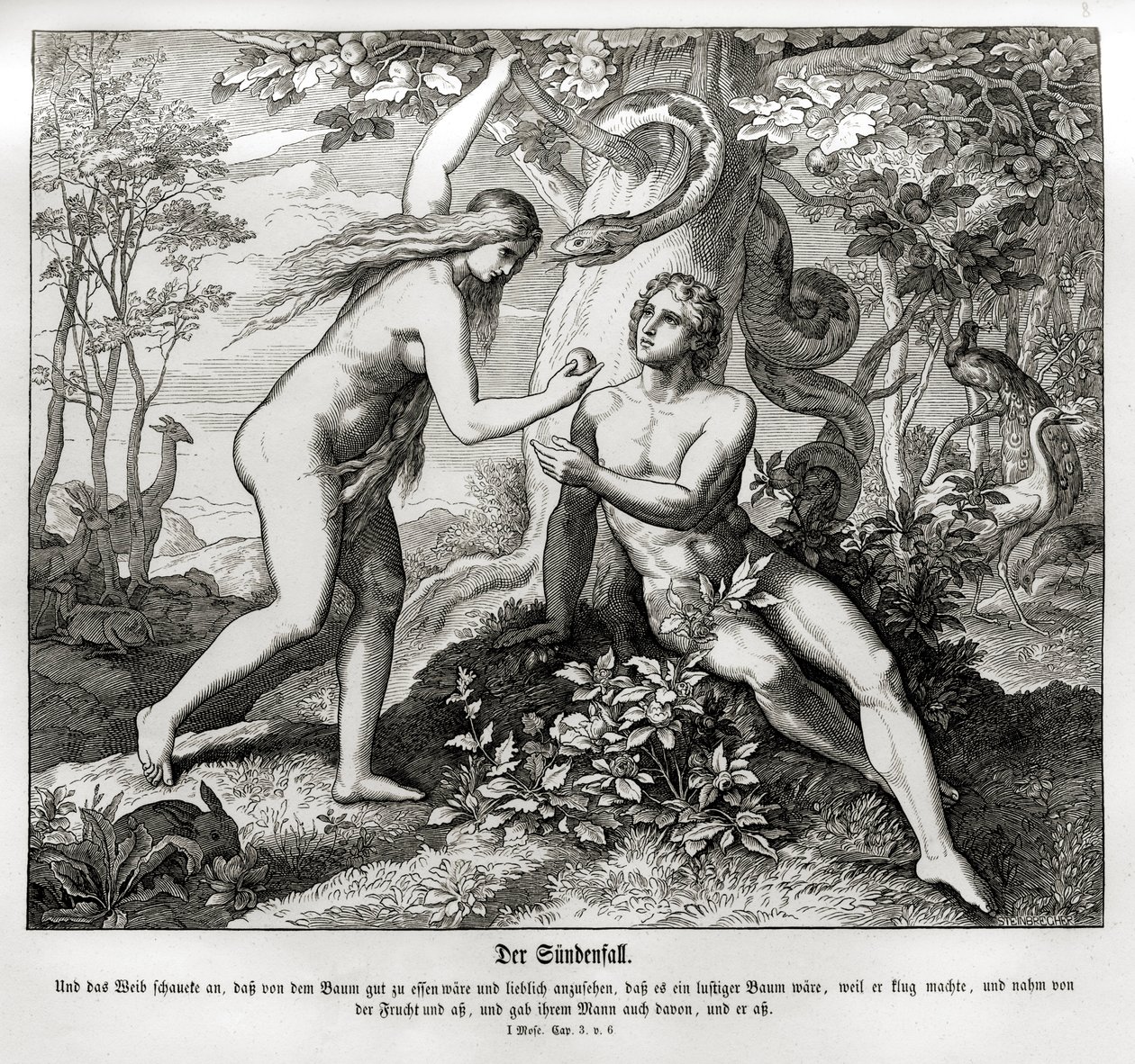 Syndefaldet, Første Mosebog af Julius Schnorr von Carolsfeld