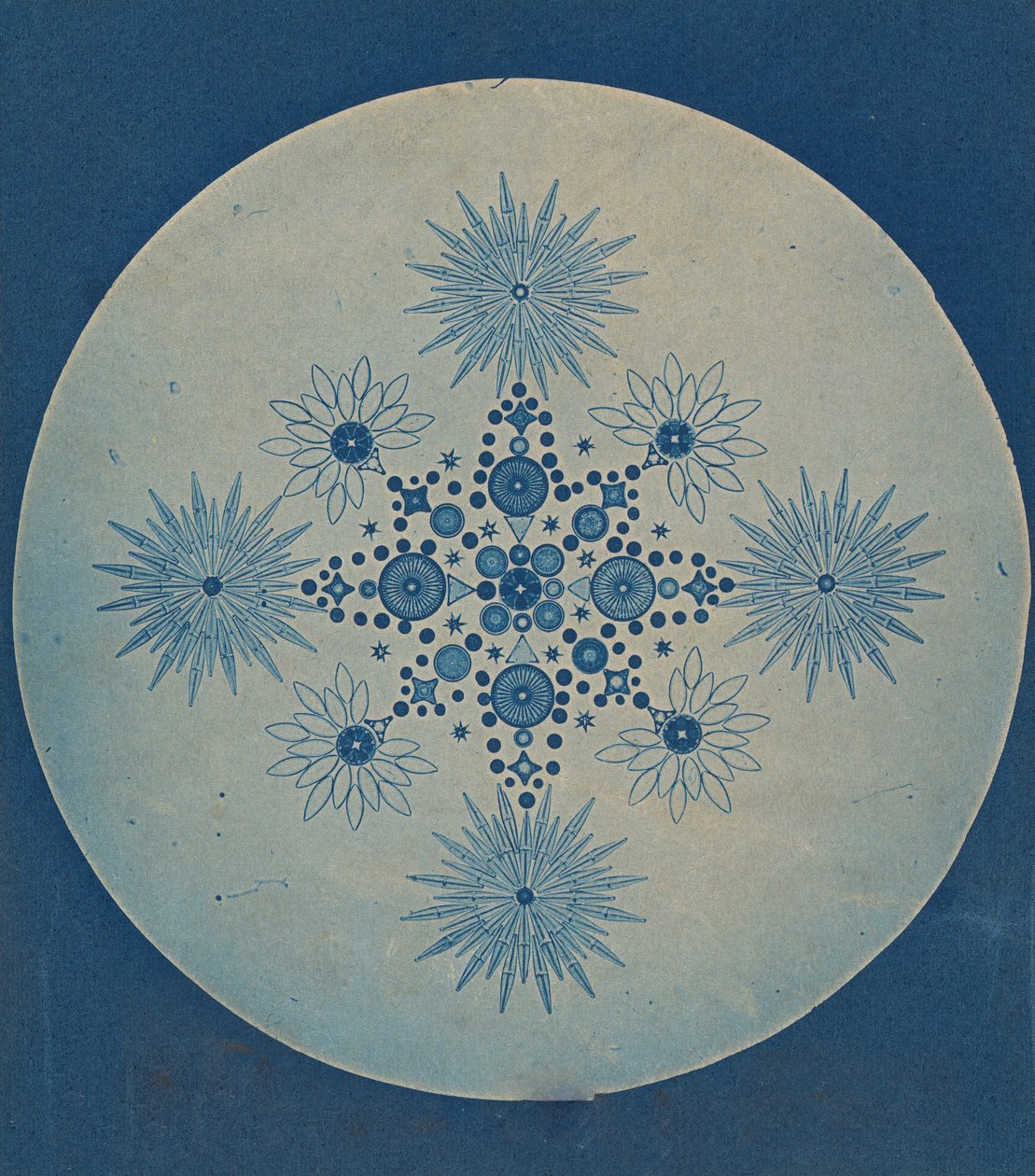 [Kalselalgerfrustler], ca. 1870. af Julius Wiesner.