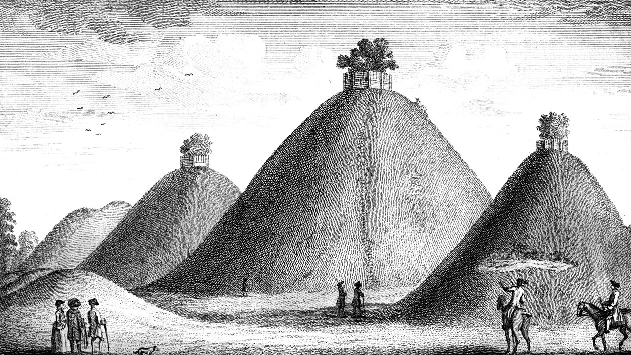 Bartlow Hills, hævet over de dræbte, 1016. af June Barnato