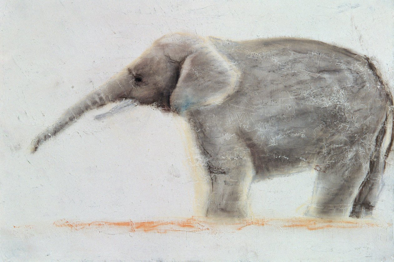 Elefant af Jung Sook Nam