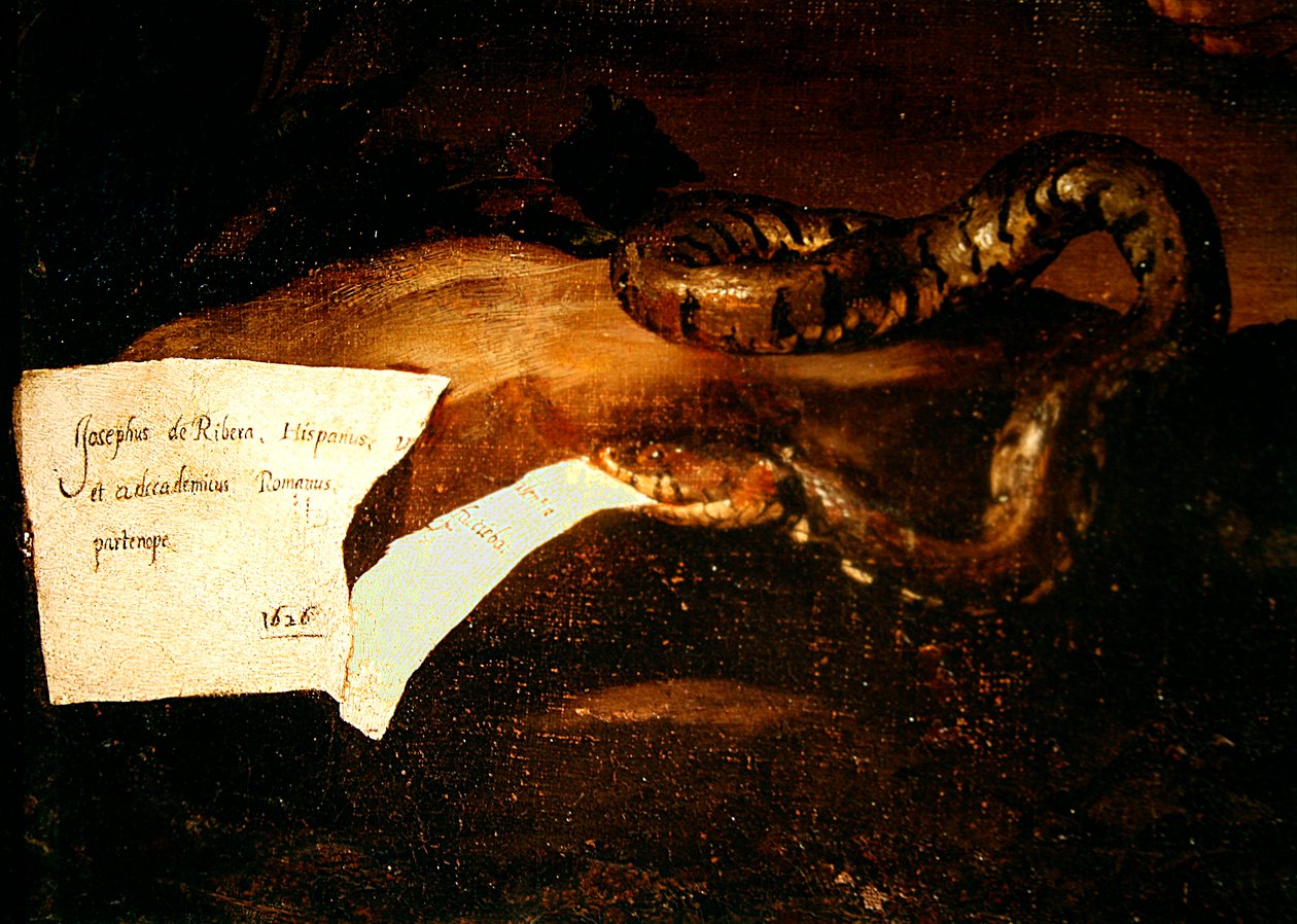 Detalje af Drunken Silenus, 1626 (detalje af 434192) af Jusepe de Ribera