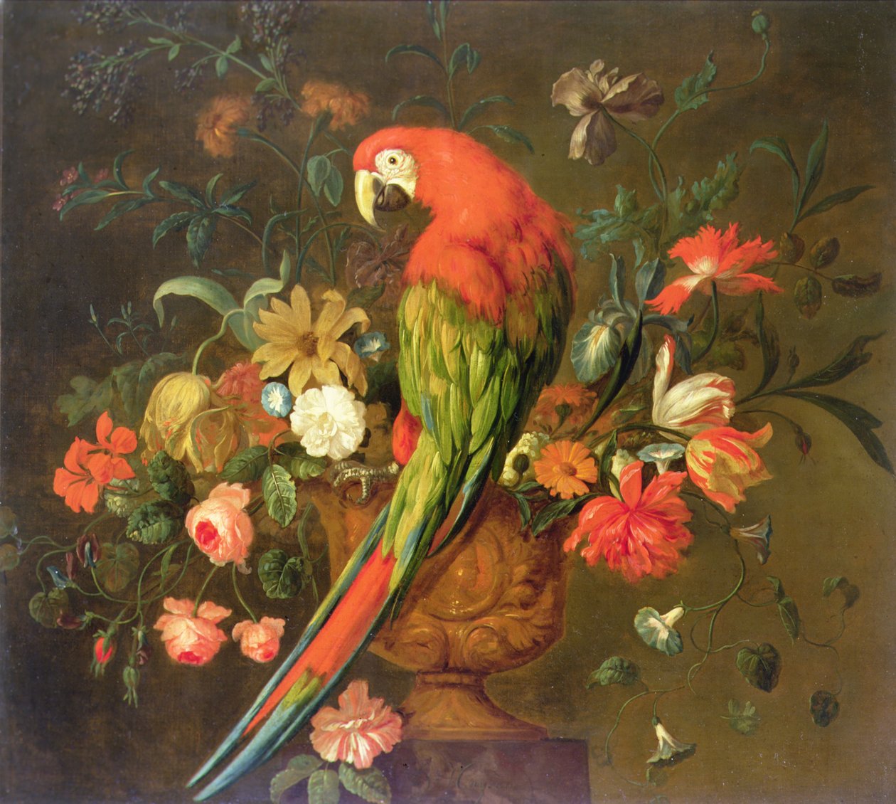 Scarlet ara anbragt på en skulptureret urne med blomster (olie på lærred) af Justus van Huysum