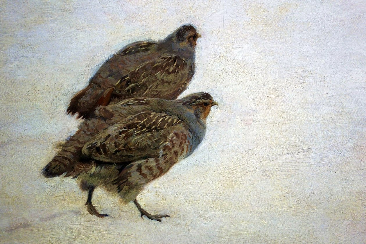 Agerhøns af Józef Chełmoński