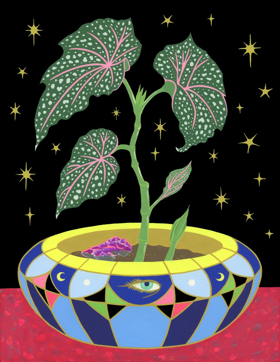 Begonia in a Pot, 2021 (akryl på panel) af Kam Tsz