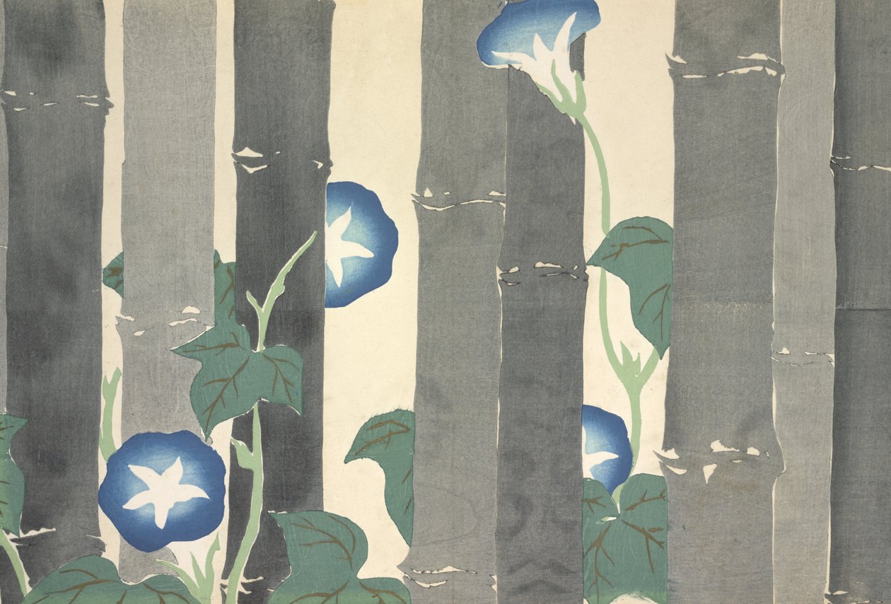Asagao, fra Momoyo-gusa af Kamisaka Sekka
