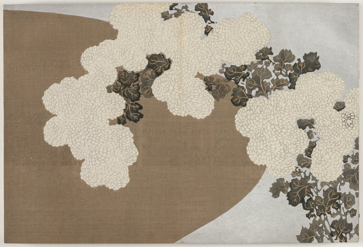 Blomster af hundrede verdener (Momoyogusa): Krysantemum (Momoyogusa) af Kamisaka Sekka