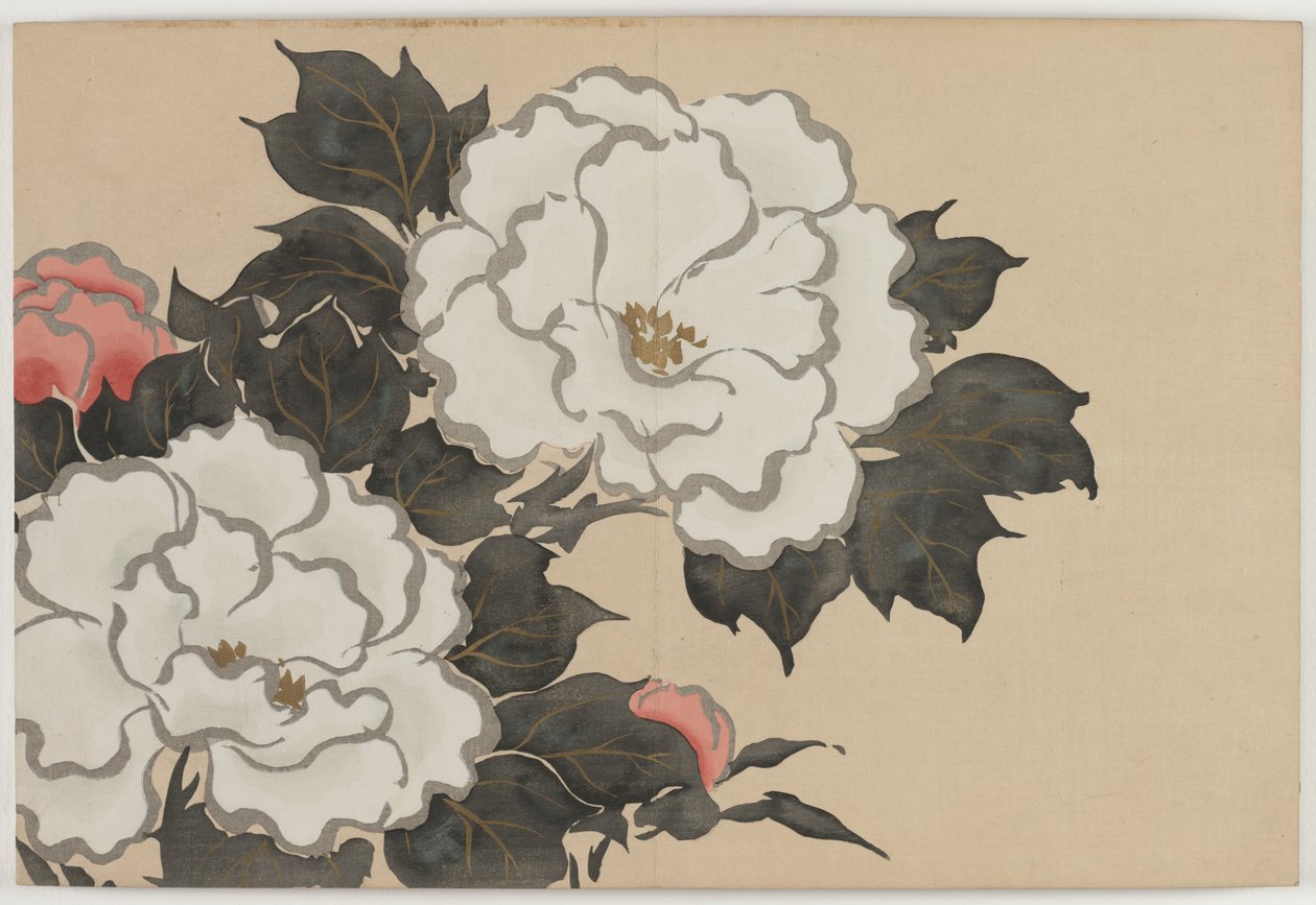 Hundrede verdeners blomster (Momoyogusa): Pæoner (Fukamigusa) af Kamisaka Sekka
