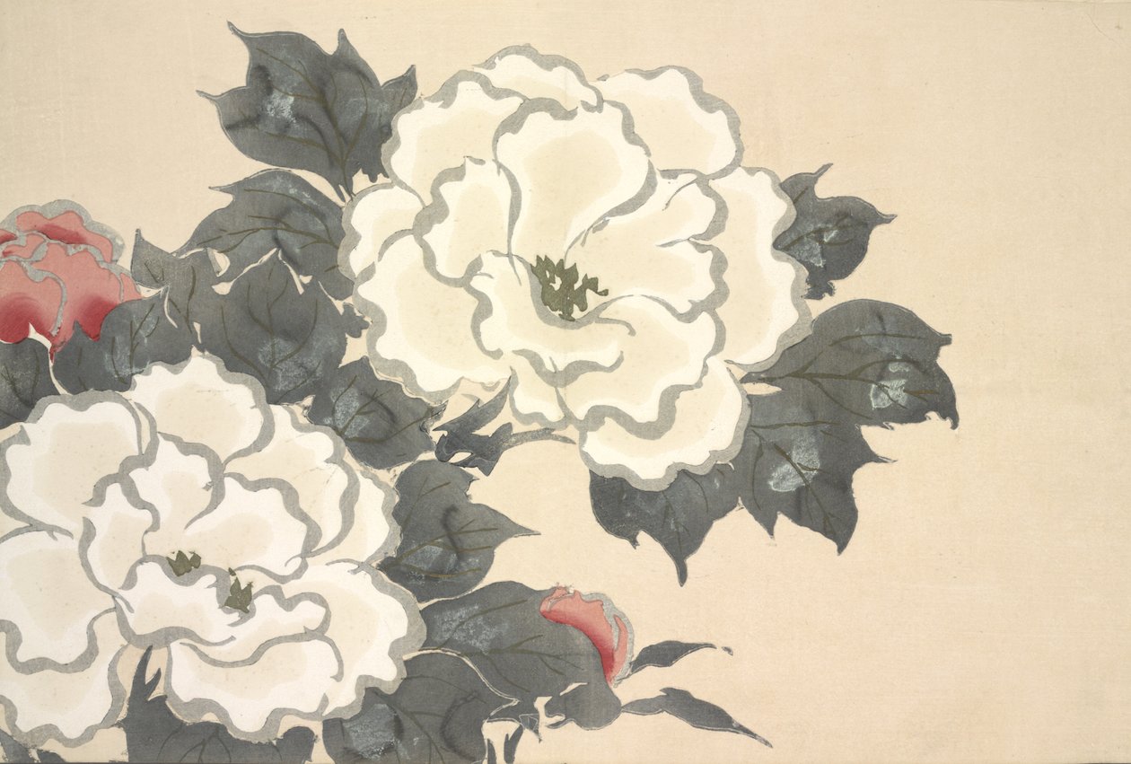 Fukami-Gusa, fra Momoyo-gusa (The World of Things) Vol I, pub.1909 (farveblok træsnit) af Kamisaka Sekka