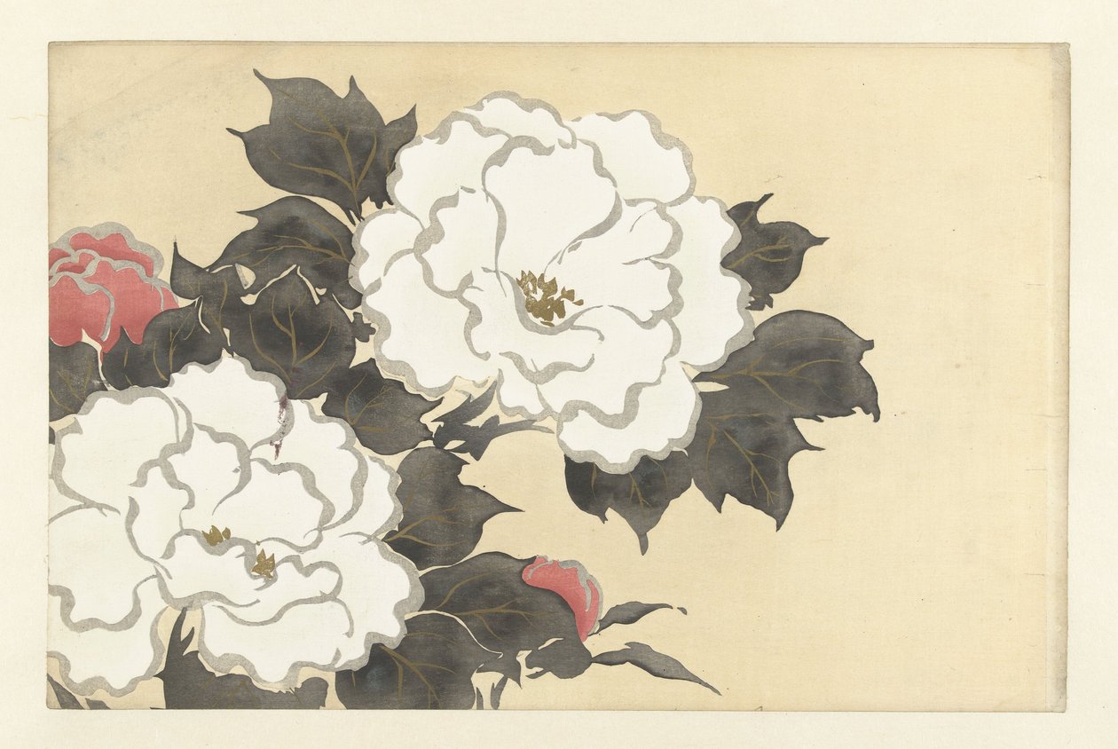 Peonies, 1909 (træbloktryk) af Kamisaka Sekka