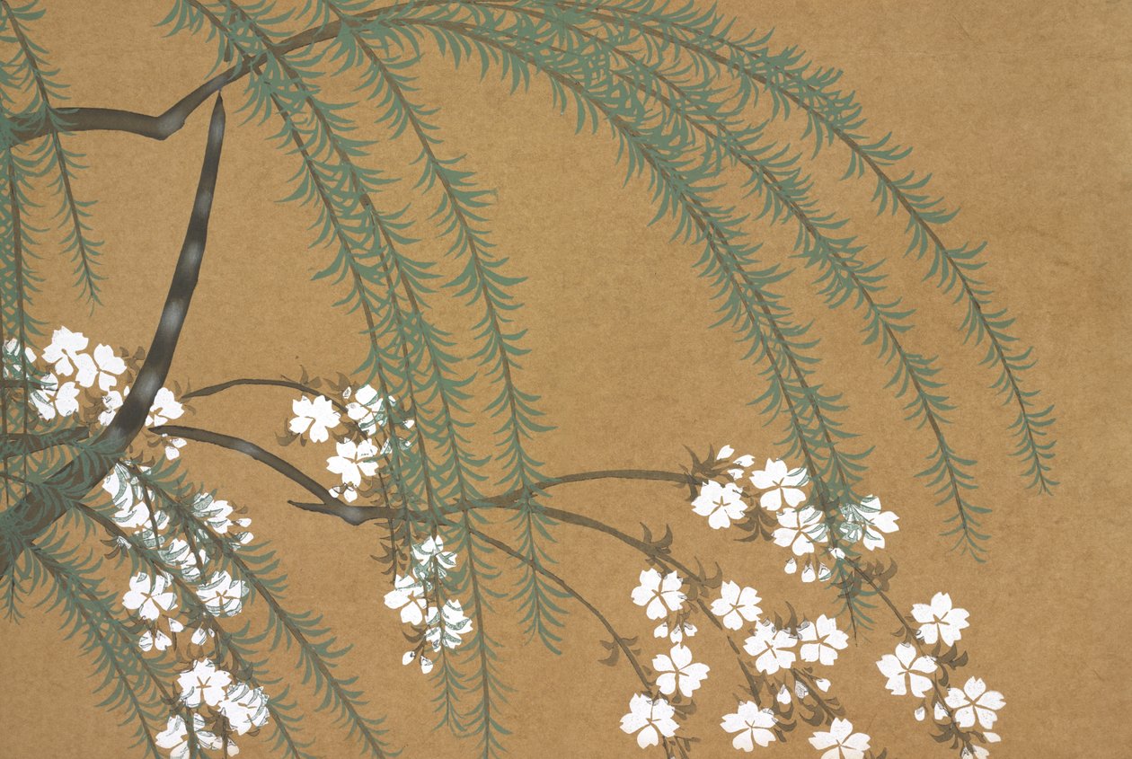 Yanagi Sakura, fromomoyogusa af Kamisaka Sekka