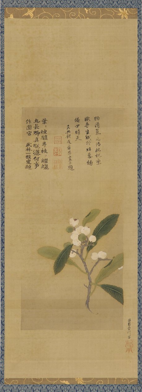 En gren af loquats, Edo-perioden, 1700-tallet. af Kanô Eisen