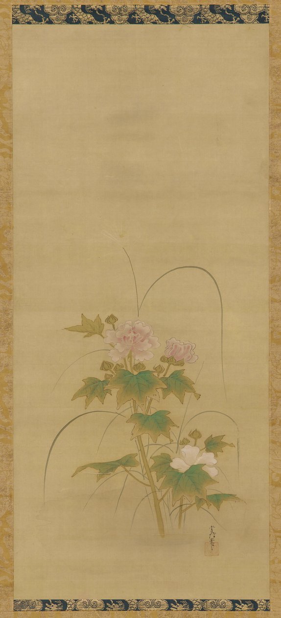 Hibiscus del af et sæt, Edo-periode, midten af det 17.-begyndelsen af det 18. århundrede. af Kanô Yôboku Tsunenobu