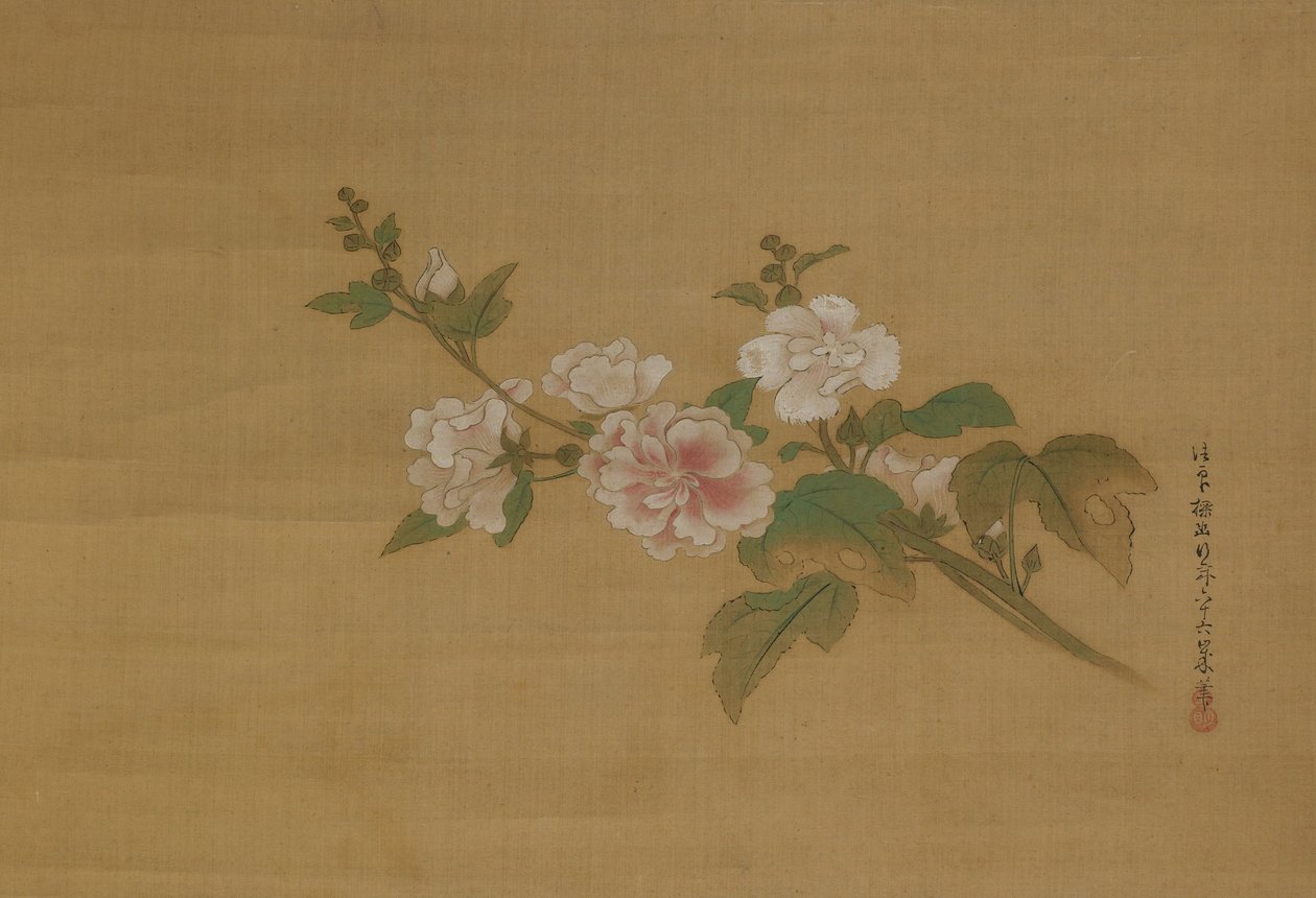 En gren af blomstrende hibiscus, Edo-perioden (farve på silke) af Kanō Tan’yū