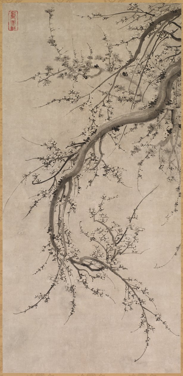 Prunus, 1600-tallet. af Kano Ein
