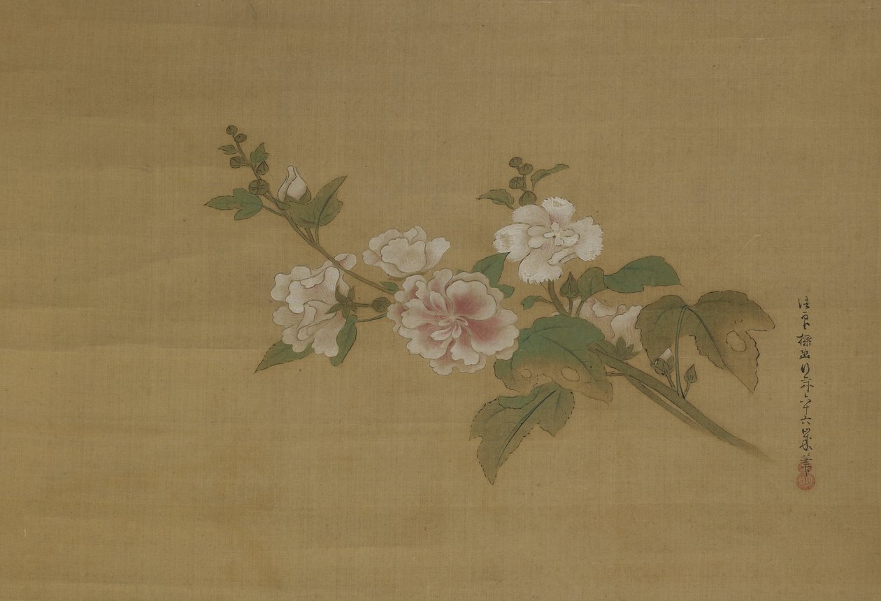 En gren af blomstrende hibiscus, Edo-periode (farve på silke) af Kano Tanyu